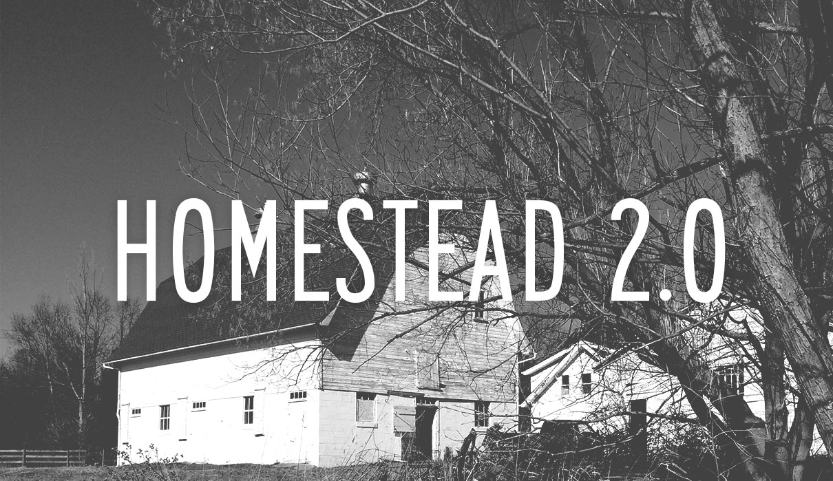 crystalmadrilejos_homestead5